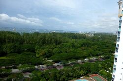 Hawaii Tower (D15), Condominium #561459341
